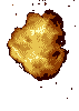 Spirito di Fuoco